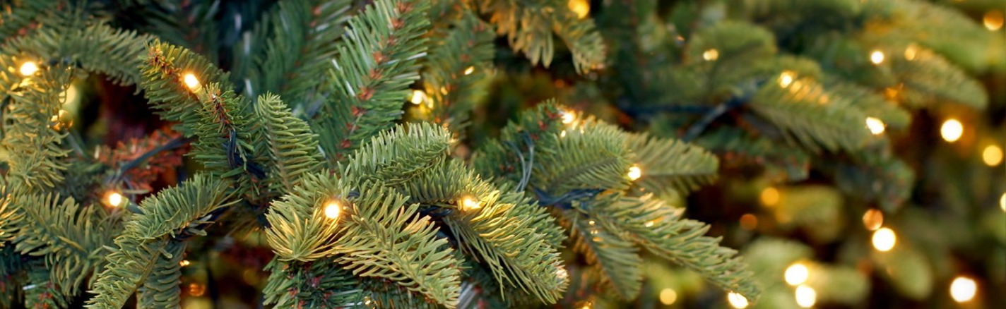 Shutterstock 119847889 Large