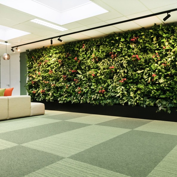 Nextgen Living Wall 233 Large