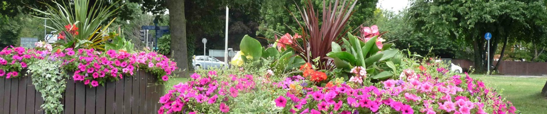 Ashby Road Roundabout L Large