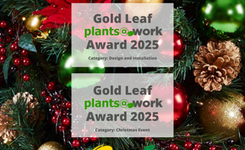 Awards Image 3