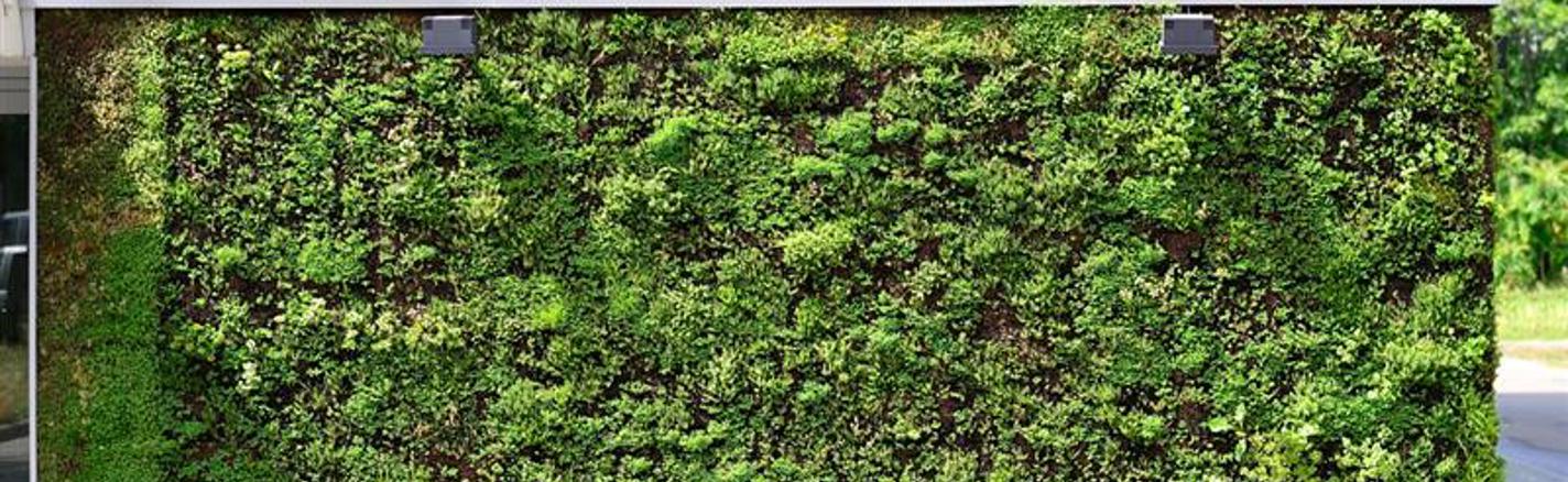 Greenleaf Living Wall 1 Large