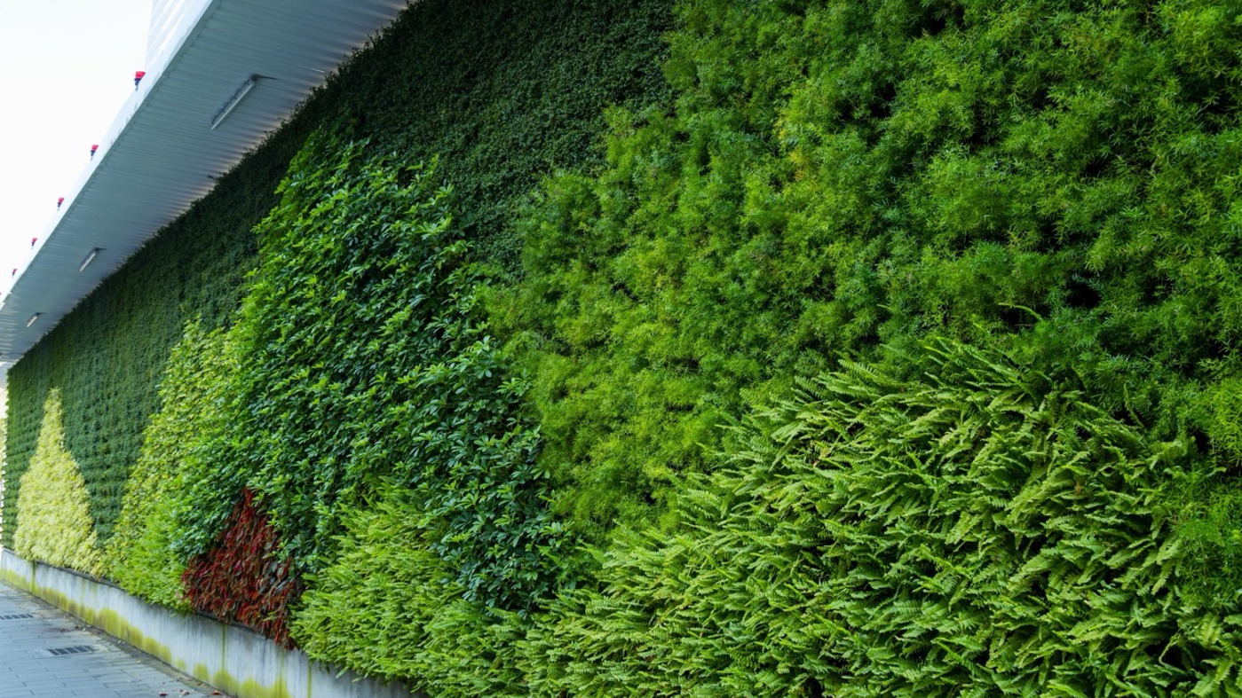 Greenleaf Living Wall 4 Large