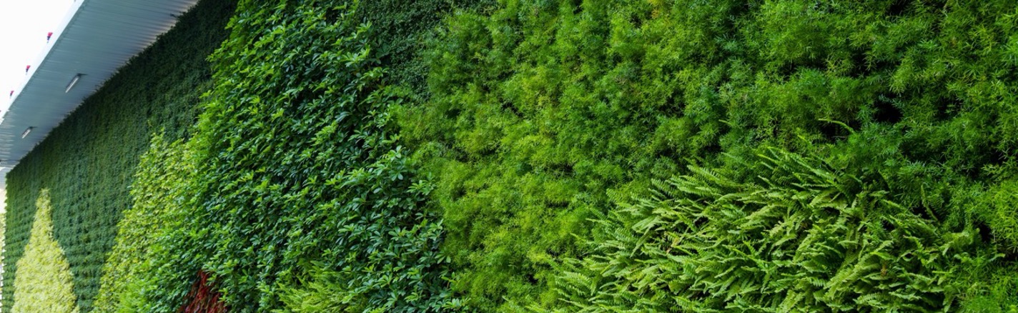 Greenleaf Living Wall 4 Large