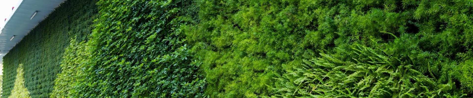 Greenleaf Living Wall 4 Large