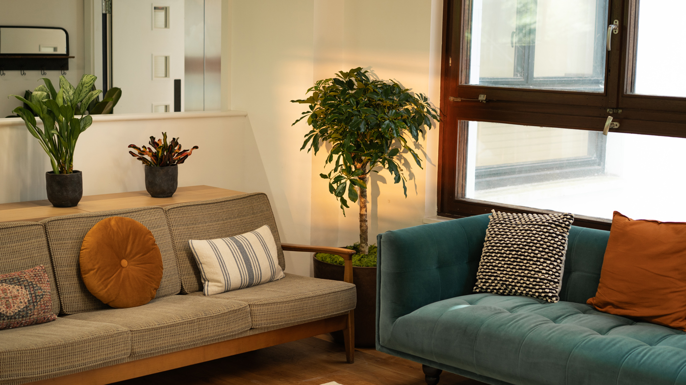 Jack Abbott Cowshed PHS Greenleaf 07178