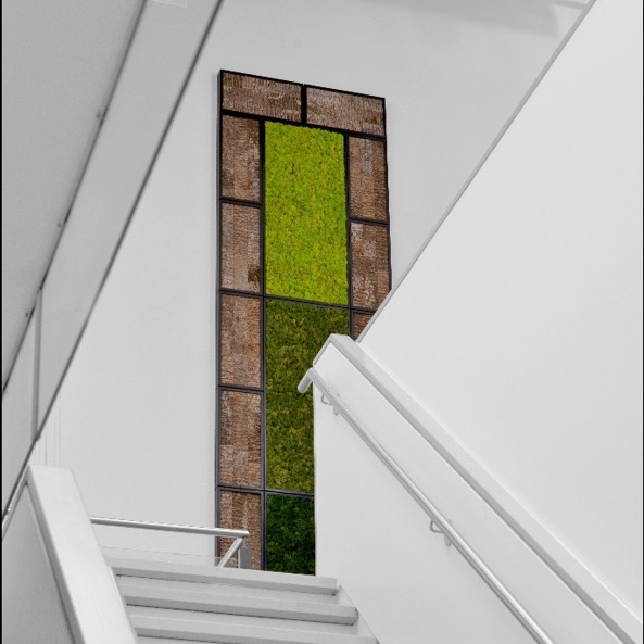 Gl Lifestyle Moss Wall Biomontage 1 Large