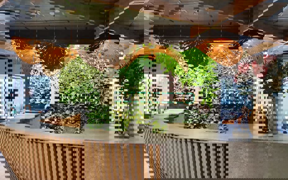 Phs Greenleaf Execuflora Images (29)