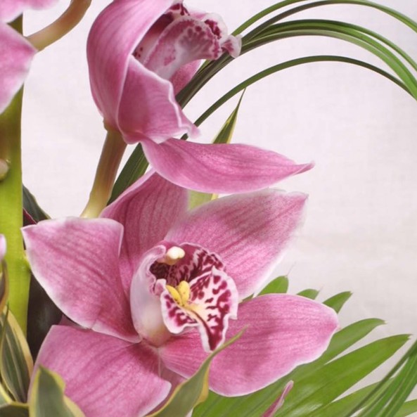 Scent marketing