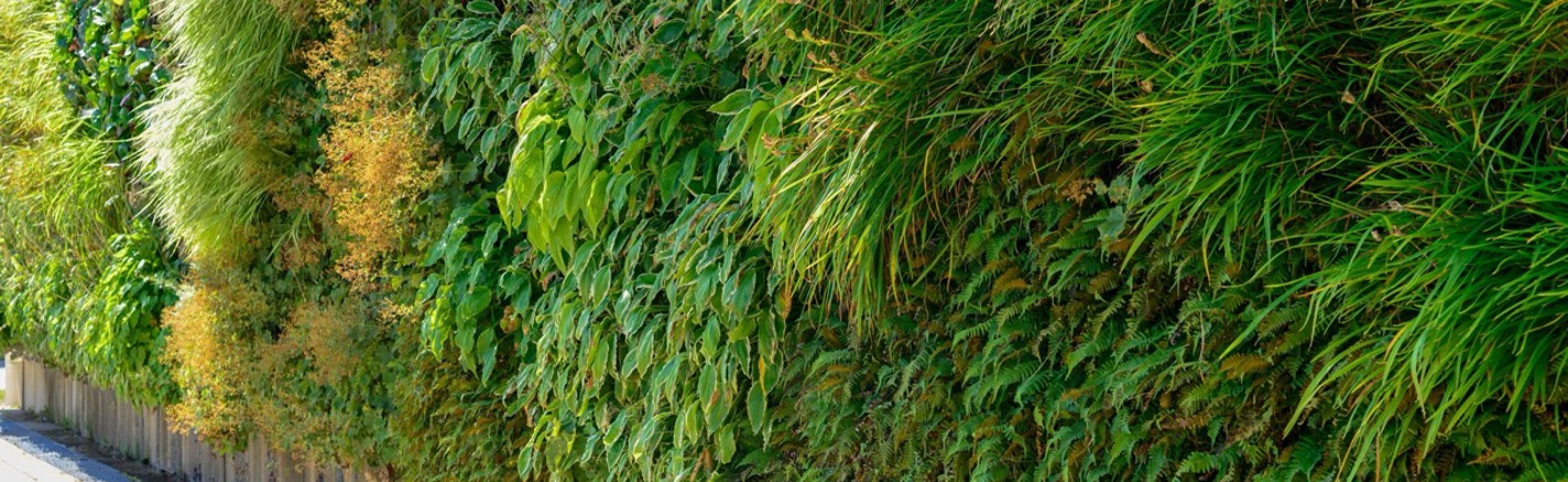 Greenleaf Living Wall 3 Large