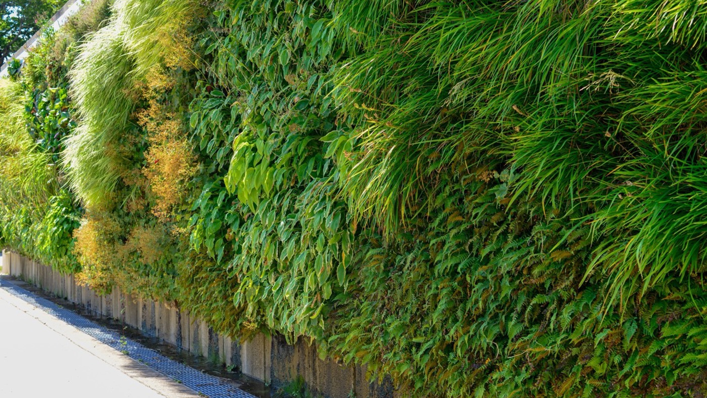 Greenleaf Living Wall 3 Large