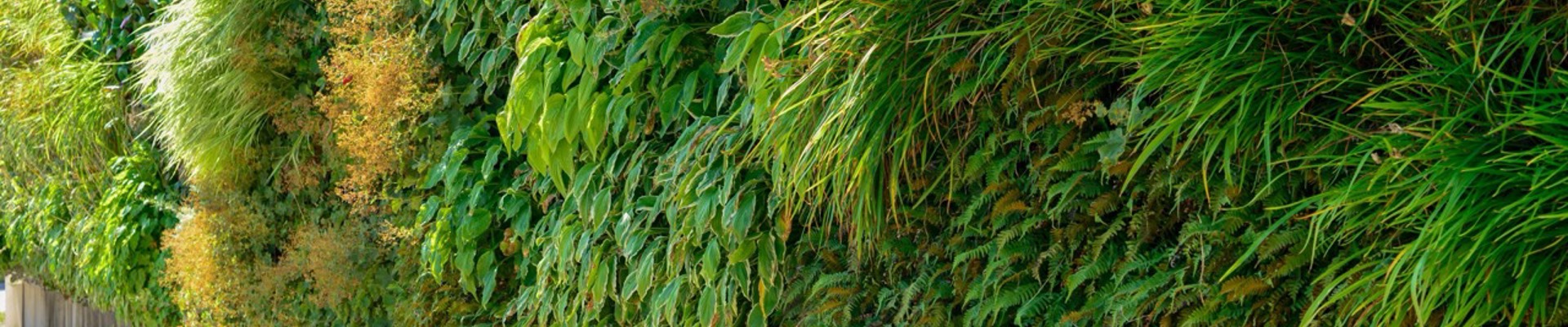 Greenleaf Living Wall 3 Large