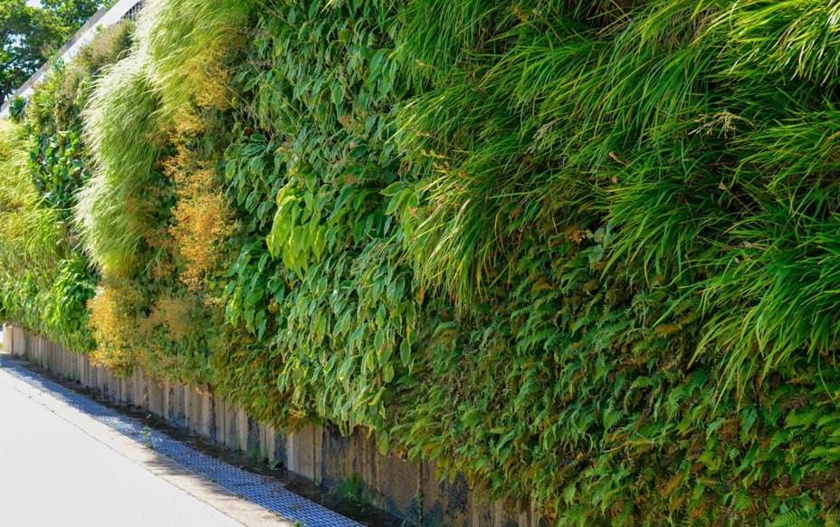 Greenleaf Living Wall 3 Large