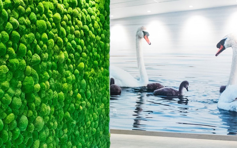 Caffa7f1b82cc1623cf22c1851e83e0c120fc3bd