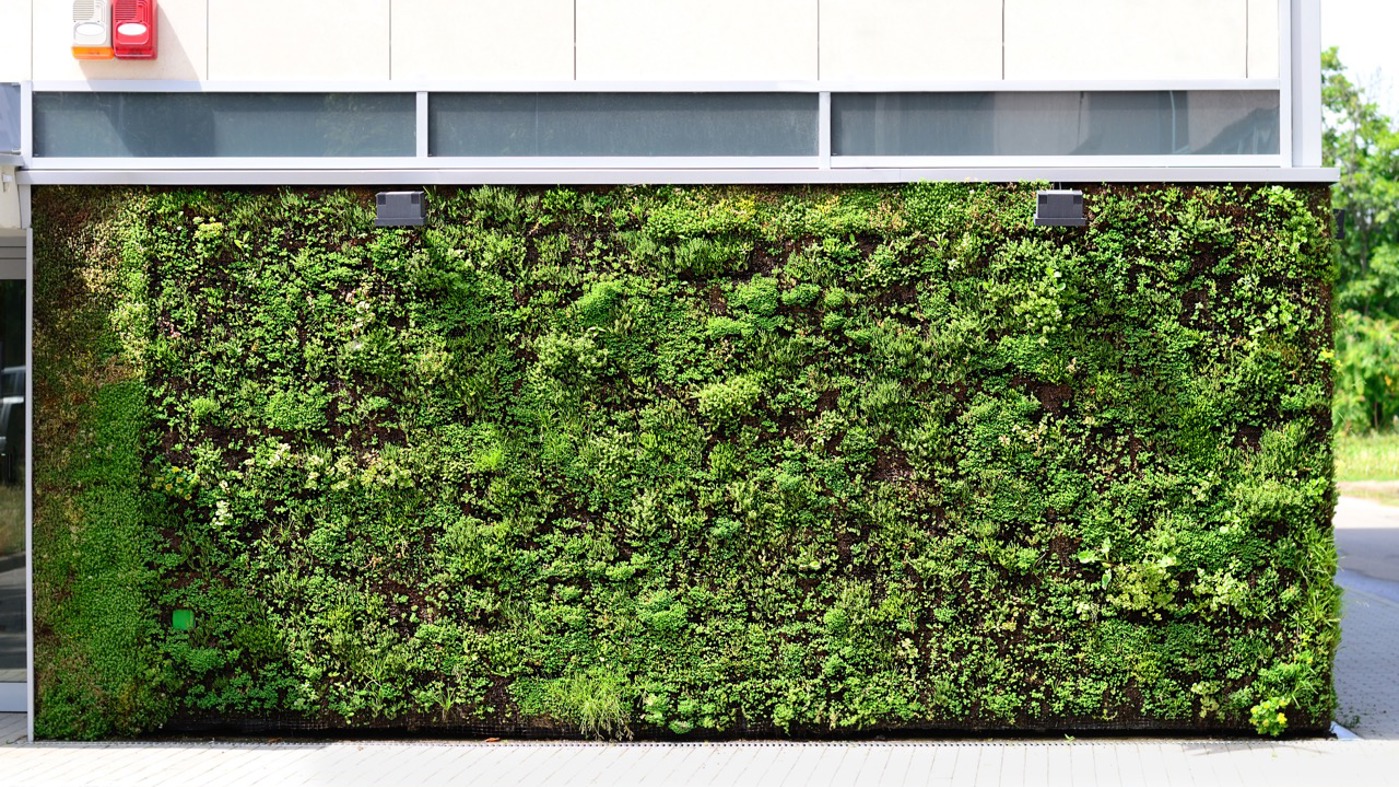 Greenleaf Living Wall 5 Large
