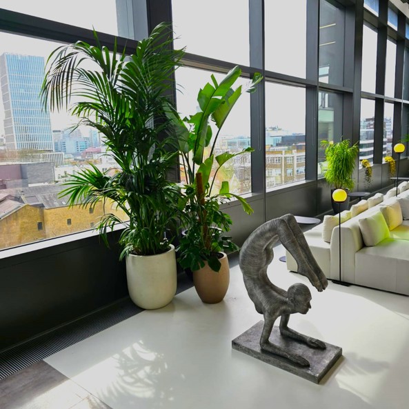 Fresha Interior Plant Display 3