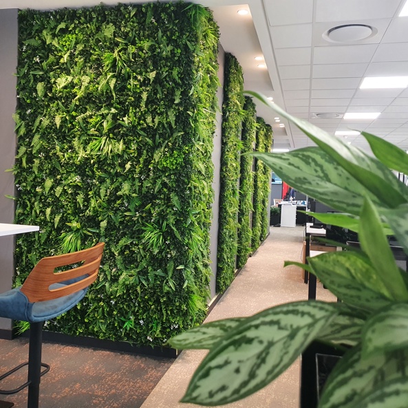 Phs Greenleaf Execuflora Images (39)