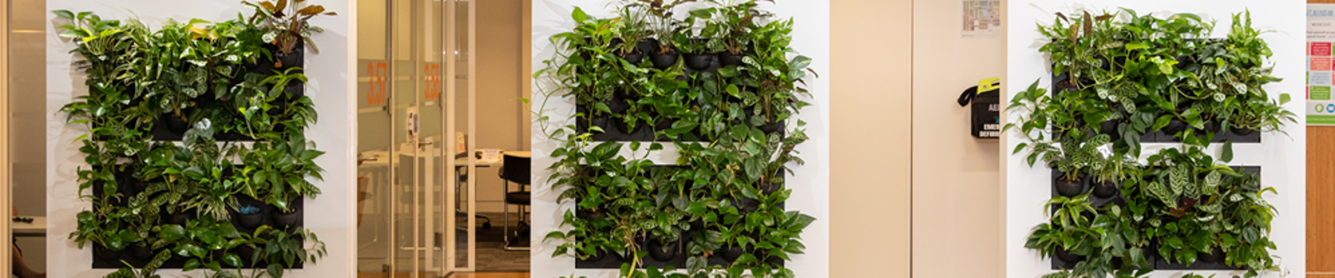 Phs Greenleaf Interior Room Dividers (9)
