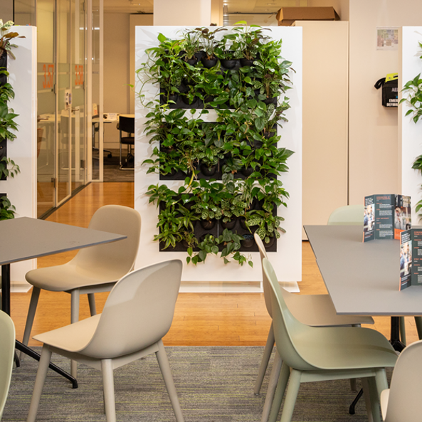 Phs Greenleaf Interior Room Dividers (9)