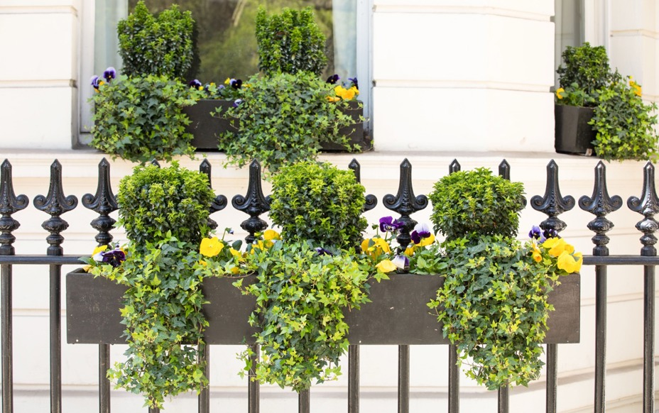 Phs Greenleaf Winter Trough 4 Large