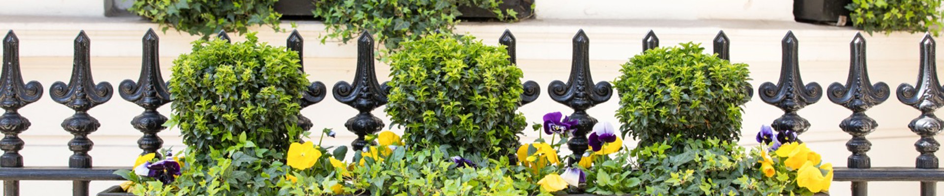 Phs Greenleaf Winter Trough 4 Large