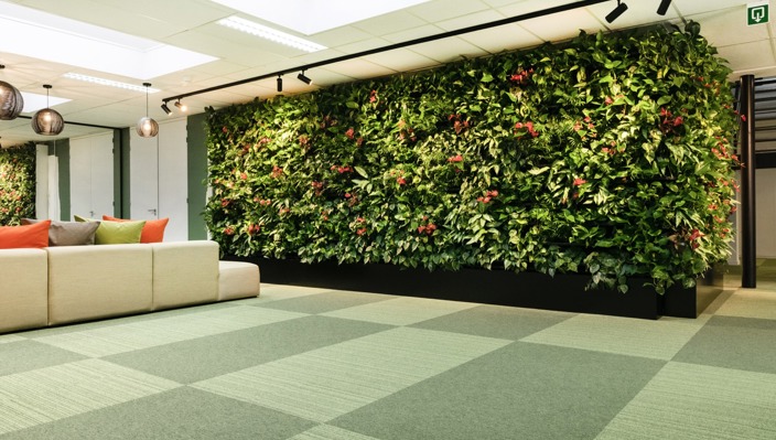 Nextgen Living Wall 233 Large