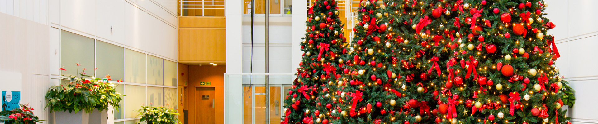 Phs Christmas Banner (1)