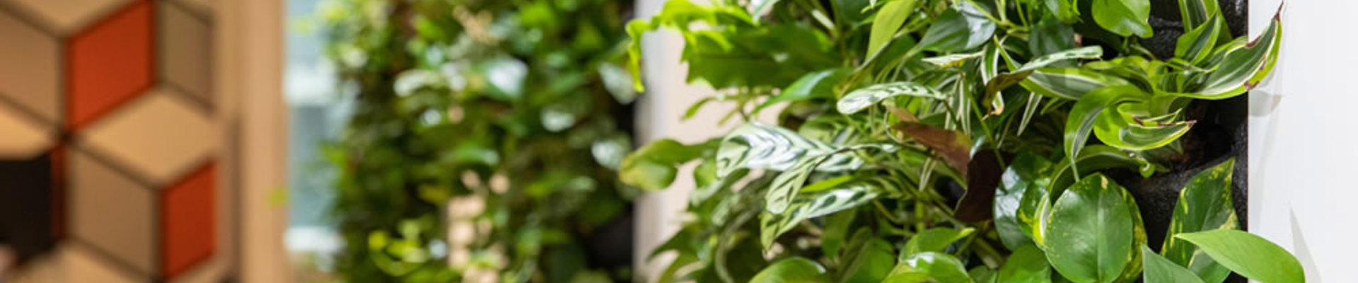 Phs Greenleaf Interior Room Dividers 7