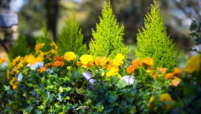 Phs Greenleaf Winter Trough Large
