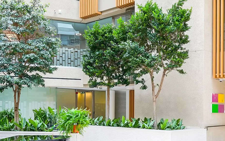 D9356f463db8fdf04d580347571876e06da88f6e