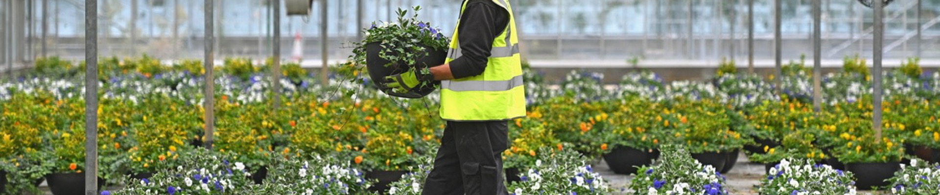 RJS 181023 Phs44 Large