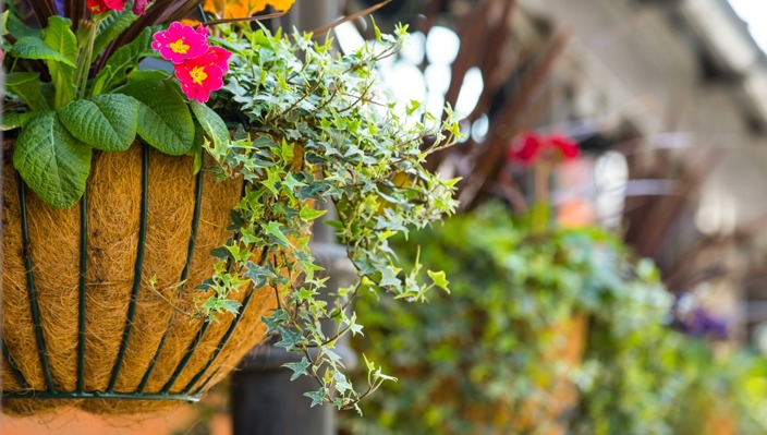 Phs Greenleaf Outdoor Winter Baskets 4 Large