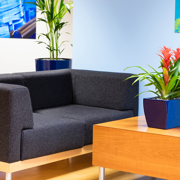 Gl Lifestyle Product Desk Plant