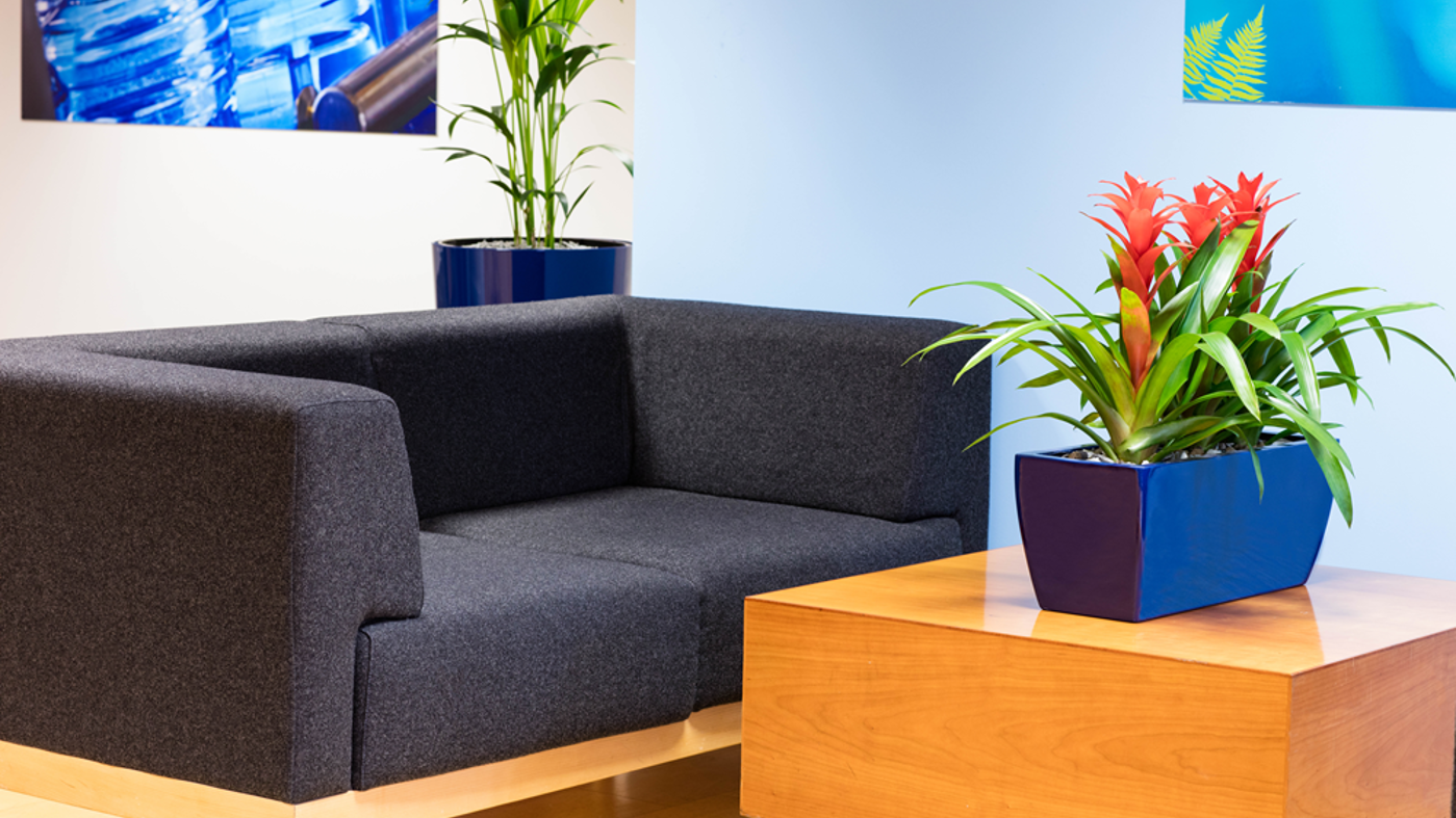 Gl Lifestyle Product Desk Plant