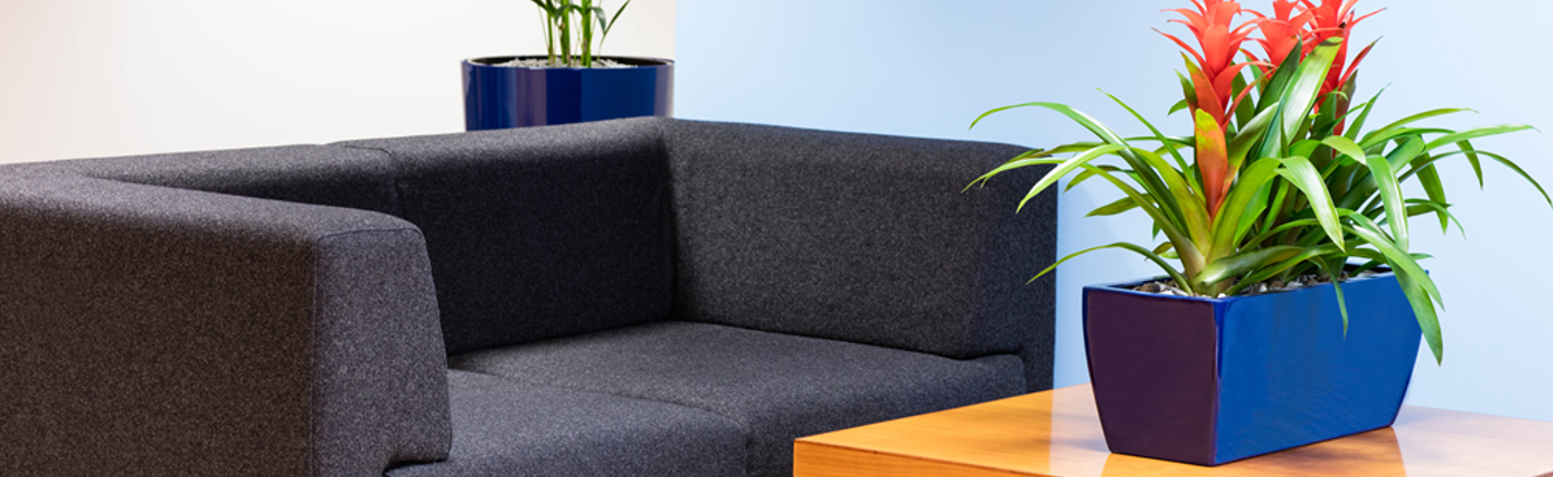 Gl Lifestyle Product Desk Plant