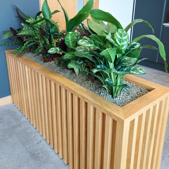 Greenleaf Getinge Images